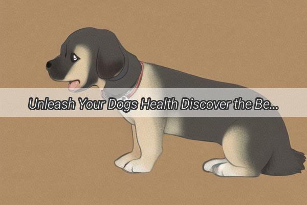 Unleash Your Dogs Health Discover the Best Pure Grain Foods for Your Furry Friend